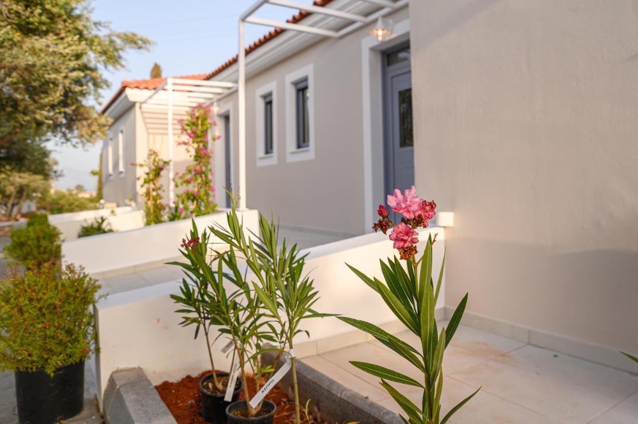 Dionisos Suites Lixouri Dış mekan fotoğraf